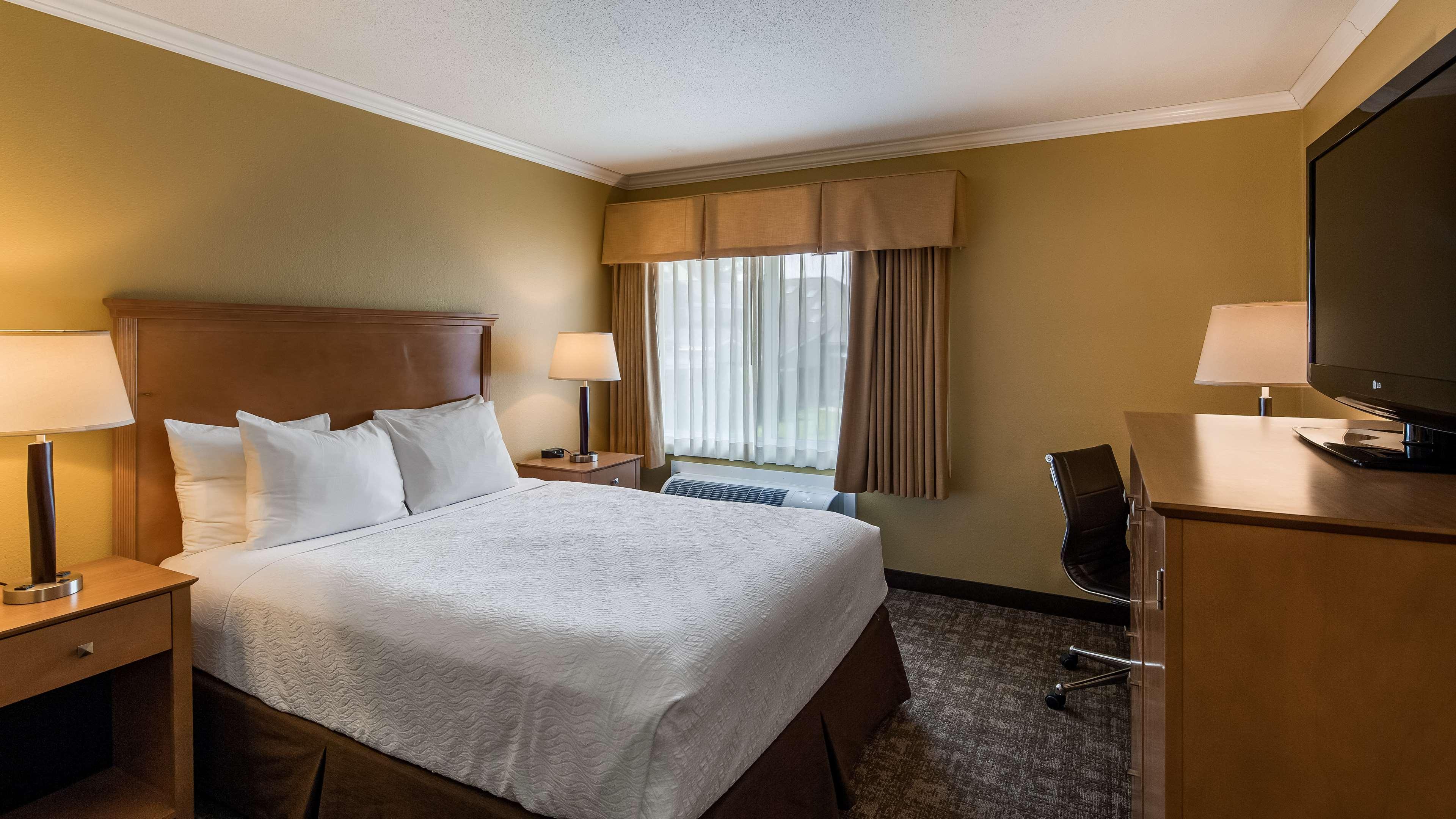 Queen Room Pet Friendly