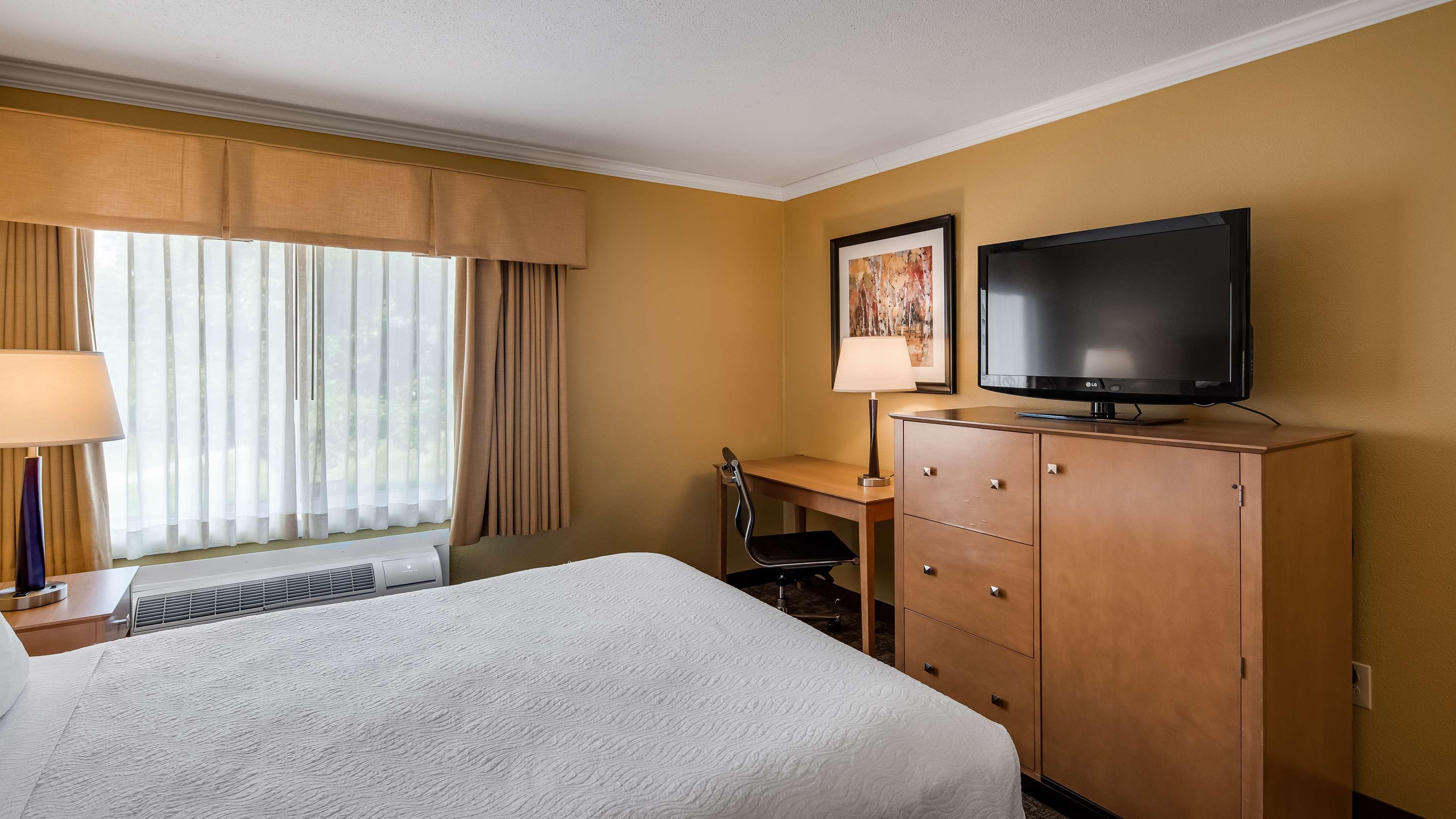 Queen Room Pet Friendly