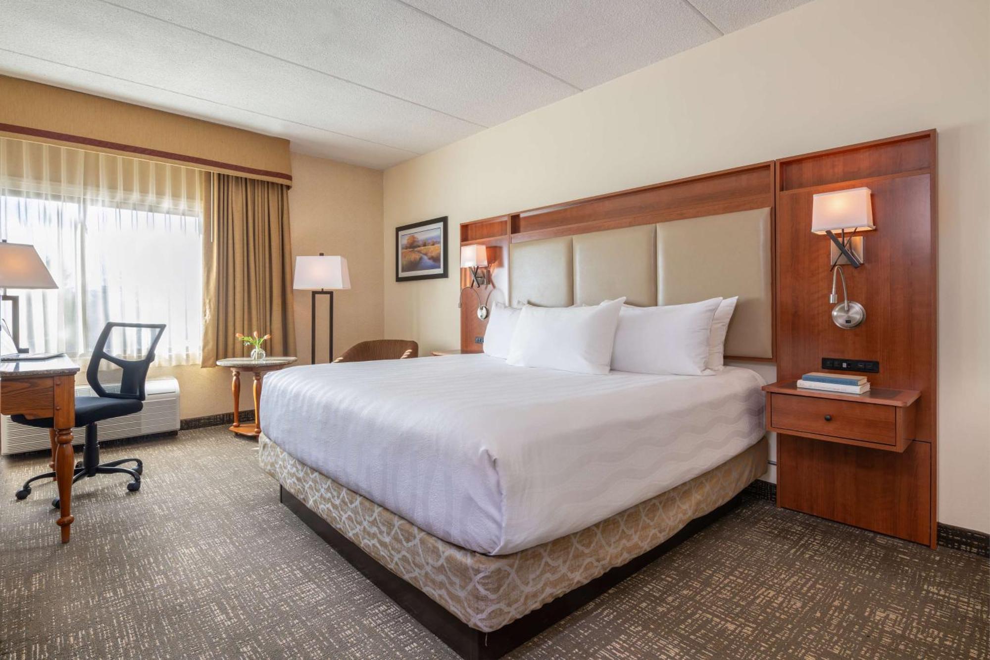 Standard King Room