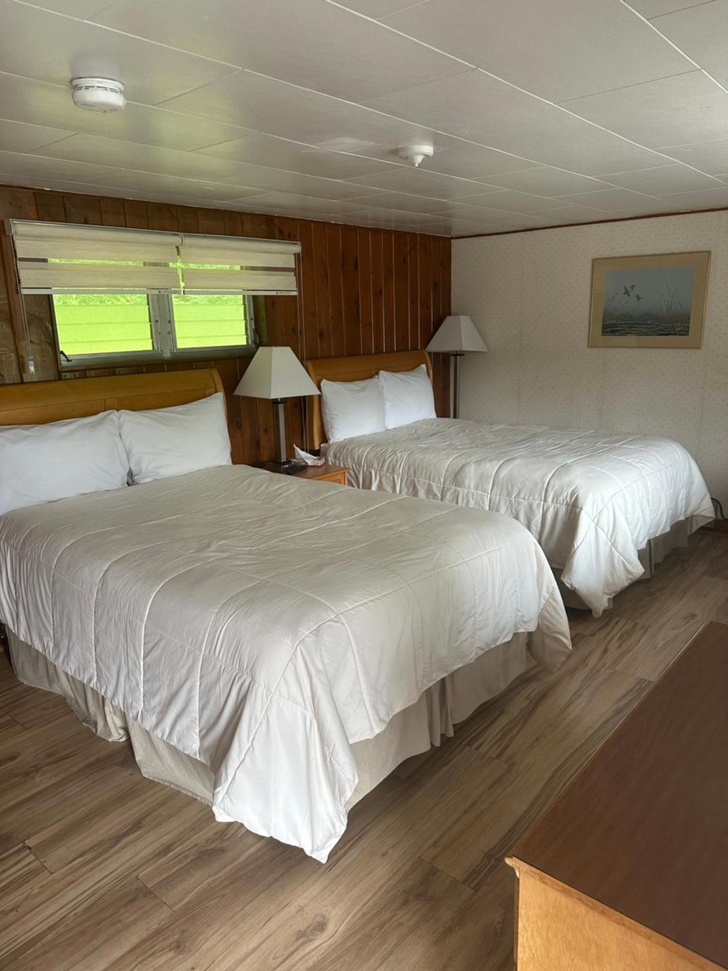 Double Room with Two Double Beds,1601699284:JPEG