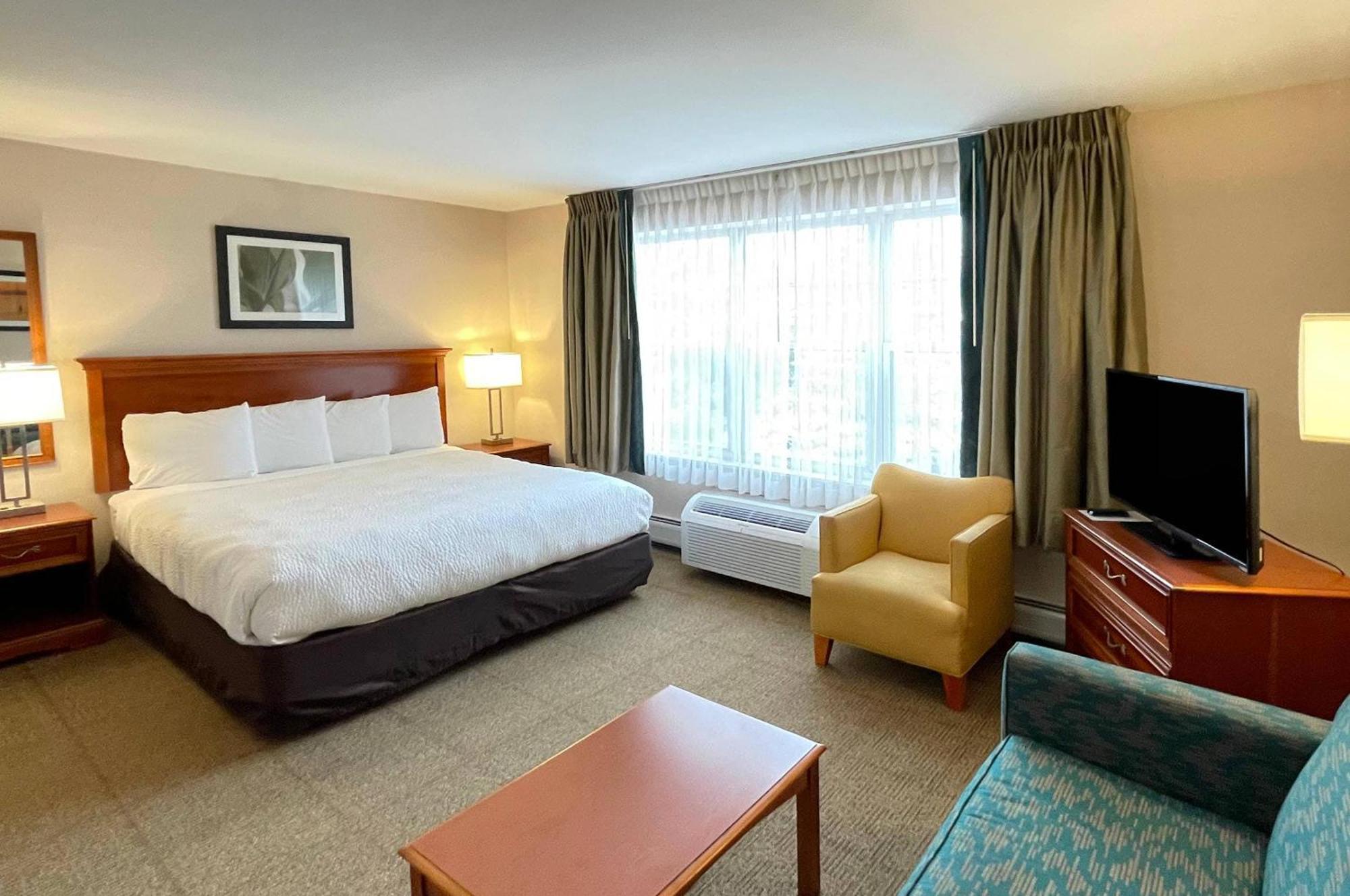 King Studio Suite