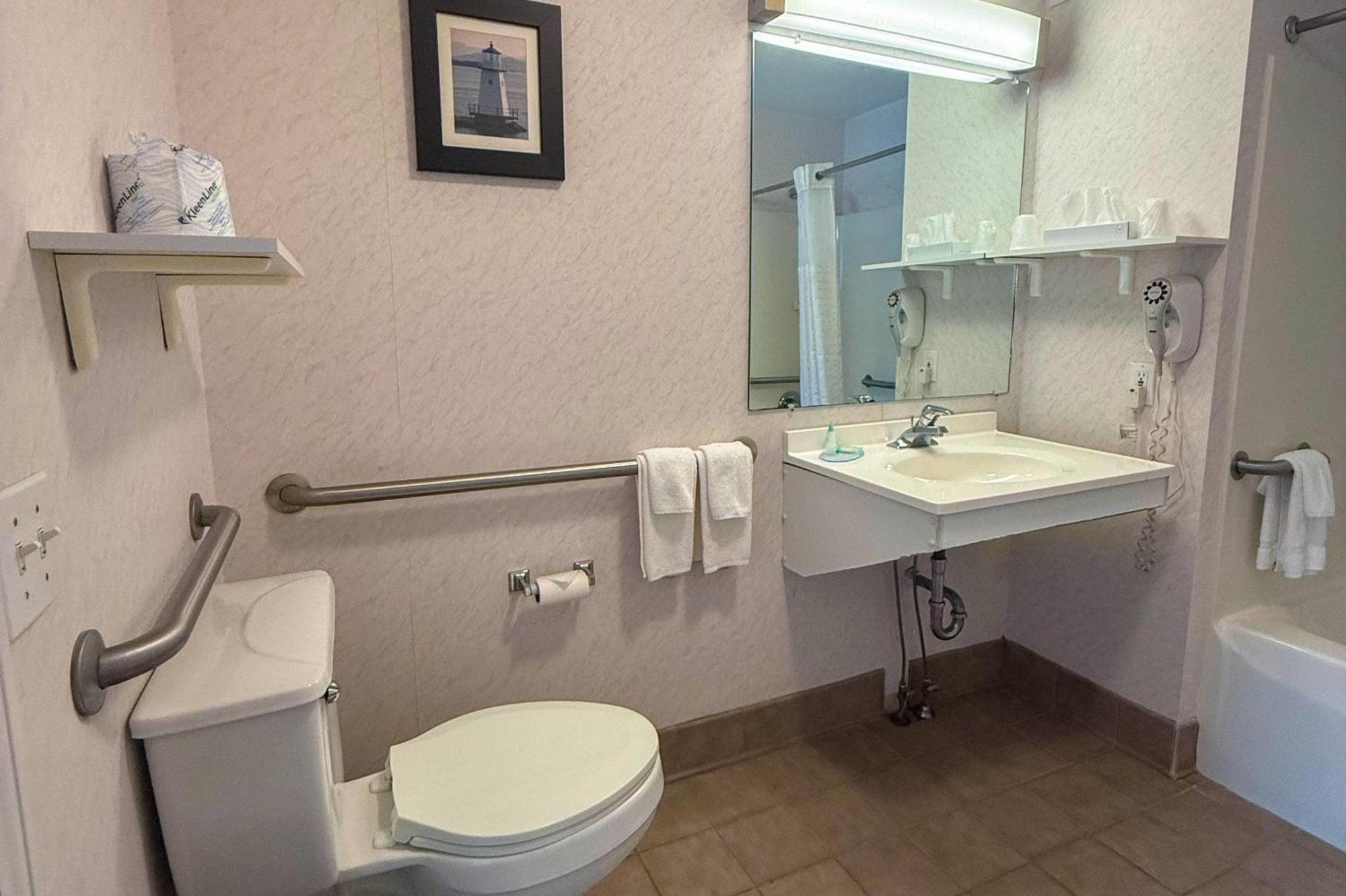 Accessible One Bedroom King Suite