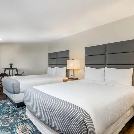 Grey Fox Inn-2