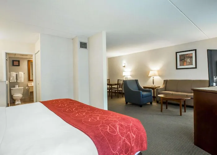 Comfort Suites South Burlington Near University